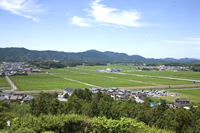 玉城町の田園風景